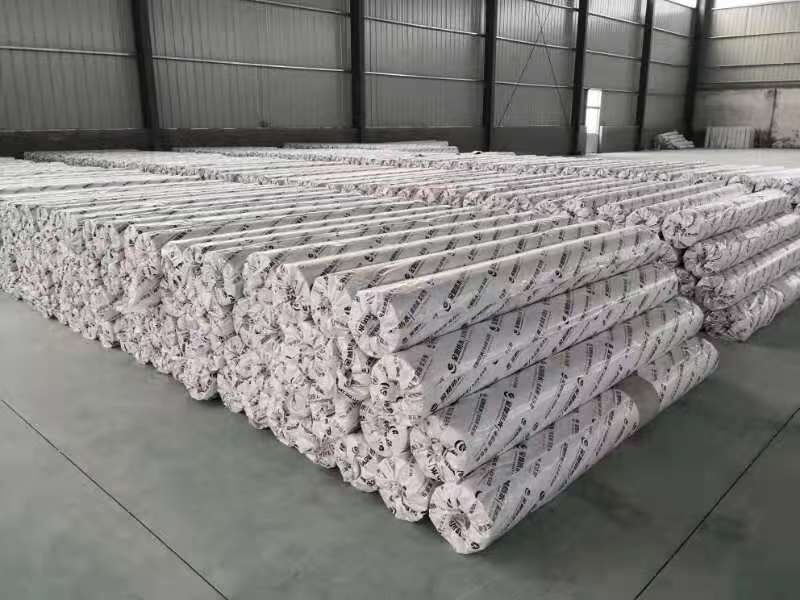 TPO 방수 막 생산 라인이 효율적인 도구입니까?